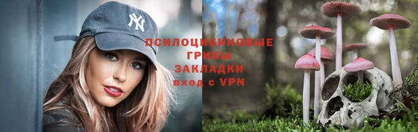 амф Арсеньев