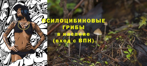 амф Арсеньев