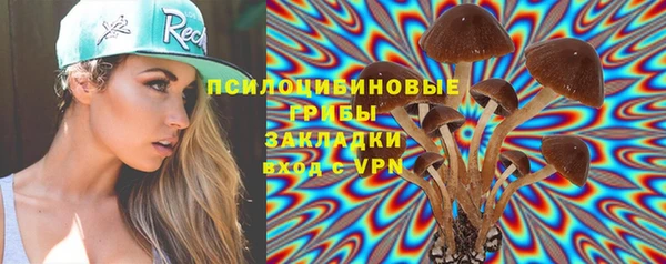 амф Арсеньев