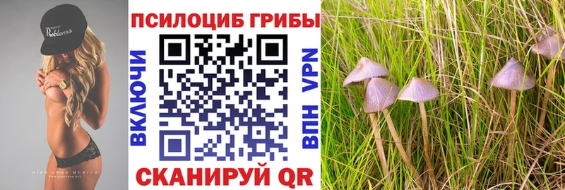 Галлюциногенные грибы ЛСД Боготол