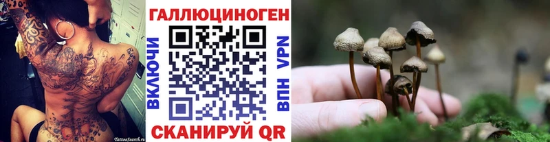 сколько стоит  kraken онион  Псилоцибиновые грибы Psilocybine cubensis  сайты даркнета наркотические препараты  Боготол 